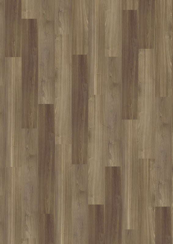 Classic Walnut 69Am08