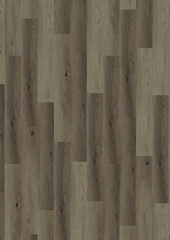 Zanzibar Oak 69Ca99