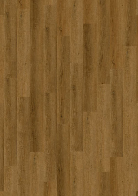 Suntan Oak 69Cd89