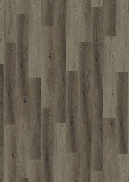 Zanzibar Oak 69Ca99